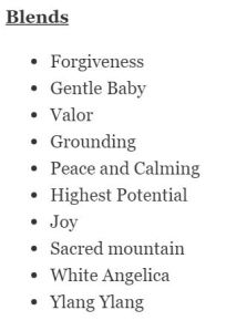 Blends for Prego Blog